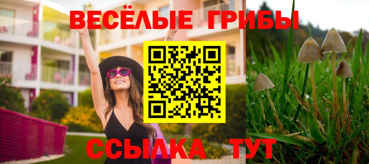 Изобильный  Псилоцибиновые грибы Cubensis  Вход с VPN 